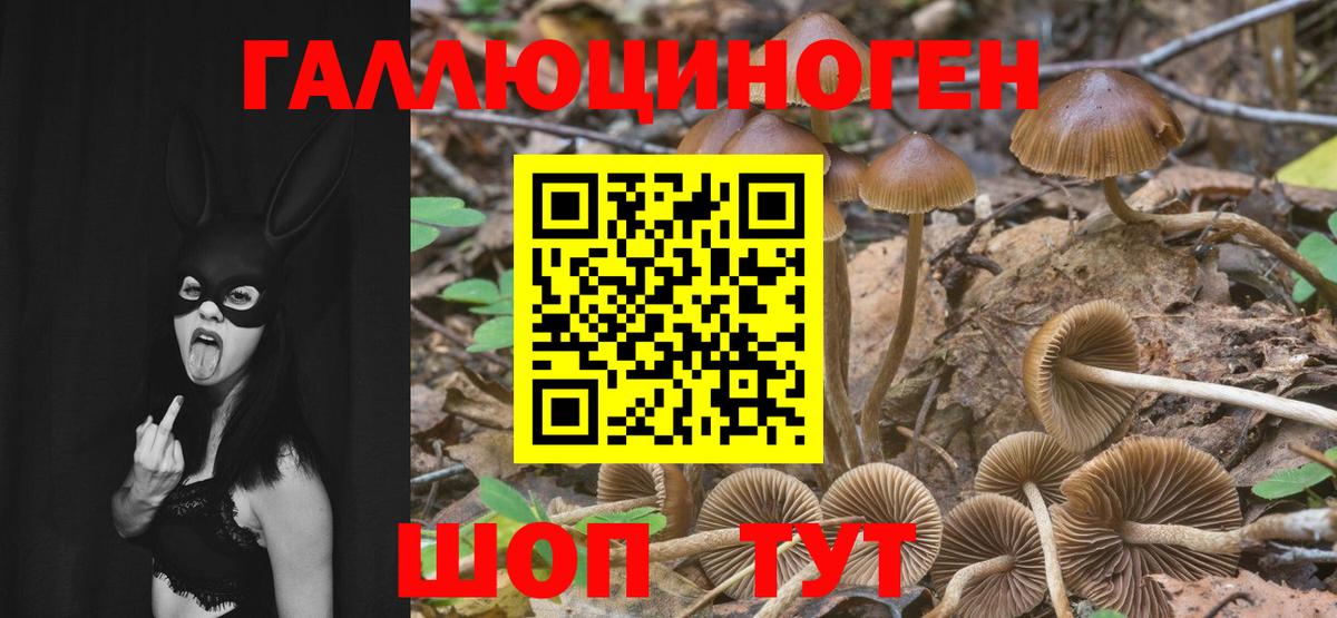 Галлюциногенные грибы Magic Shrooms  Вход с VPN  Вязники 